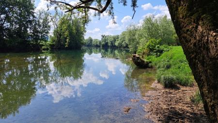 priobalna vegetacija ob vodotokih