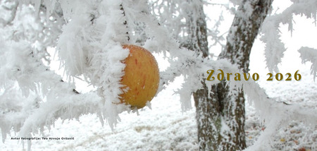 Novoletno voščilo 2026 (210 x 100 mm)