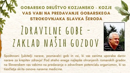Zdravilne gobe